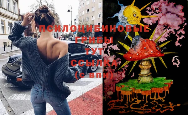 круглые Аркадак