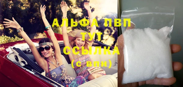 стафф Арсеньев
