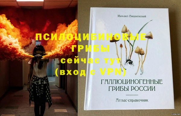 молекула духа Армянск