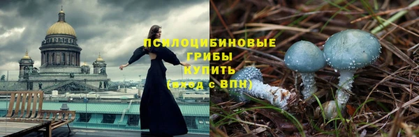 стафф Арсеньев