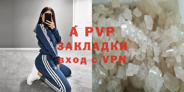стафф Арсеньев