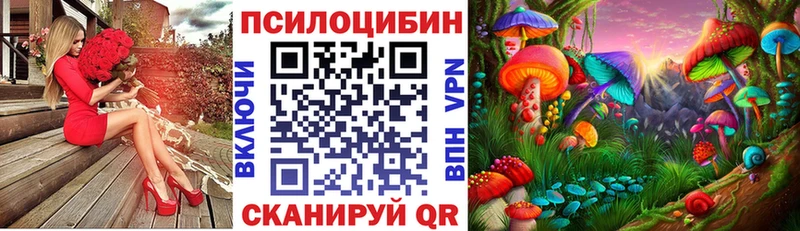 продажа наркотиков  Магас  Галлюциногенные грибы ЛСД 